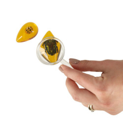 Vedecká súprava pre deti hmyz na jantár