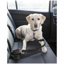 Bezpečnostný pás pre psa