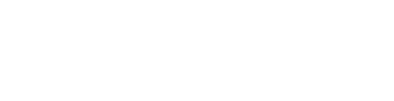 Autozulu